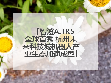 智澄AITR5全球首秀 杭州未来科技城机器人产业生态加速成型