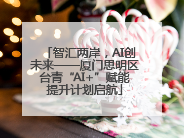 智汇两岸，AI创未来——厦门思明区台青“AI+”赋能提升计划启航