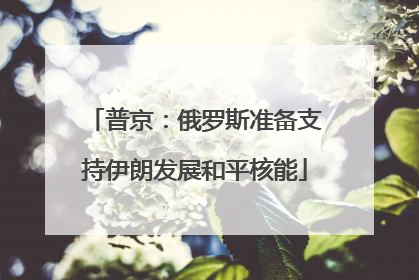 普京：俄罗斯准备支持伊朗发展和平核能
