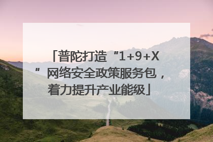 普陀打造“1+9+X”网络安全政策服务包，着力提升产业能级