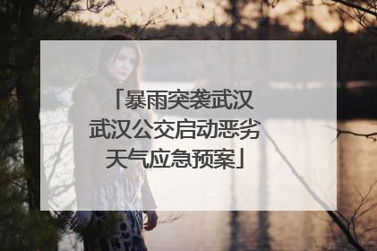 暴雨突袭武汉 武汉公交启动恶劣天气应急预案