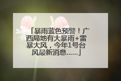 暴雨蓝色预警！广西局地有大暴雨+雷暴大风，今年1号台风最新消息……