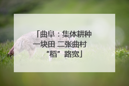 曲阜：集体耕种一块田 二张曲村“稻”路宽