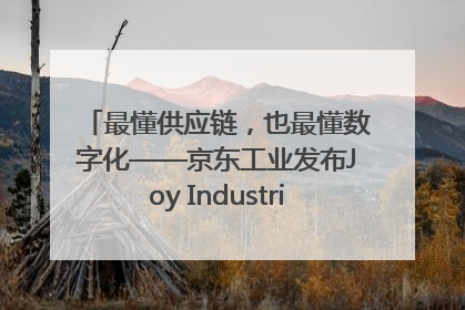 最懂供应链，也最懂数字化——京东工业发布Joy Industrial 重塑工业未来