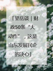 望岳谈｜财政50条“大动作”，这是山东发展民企的决心