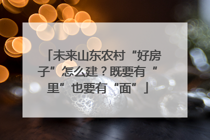 未来山东农村“好房子”怎么建？既要有“里”也要有“面”