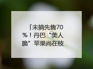 未摘先售70%！丹巴“美人脆”苹果尚在枝头就被预订｜长征路上看四川