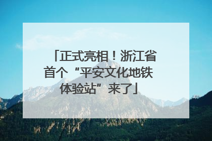 正式亮相！浙江省首个“平安文化地铁体验站”来了