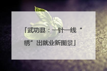 武功县：一针一线“绣”出就业新图景