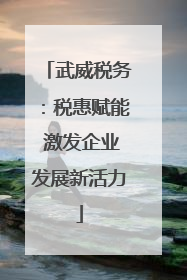 武威税务：税惠赋能 激发企业发展新活力