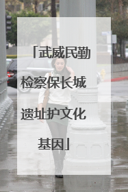 武威民勤检察保长城遗址护文化基因