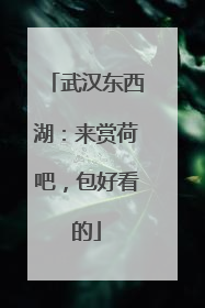 武汉东西湖：来赏荷吧，包好看的