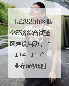 武汉洪山区低空经济综合试验区建设启动，“1+4+1”产业布局初现