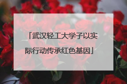 武汉轻工大学子以实际行动传承红色基因