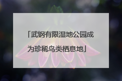 武钢有限湿地公园成为珍稀鸟类栖息地