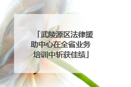 武陵源区法律援助中心在全省业务培训中斩获佳绩