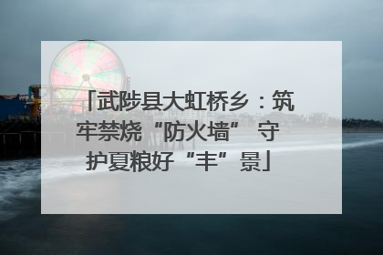 武陟县大虹桥乡：筑牢禁烧“防火墙” 守护夏粮好“丰”景