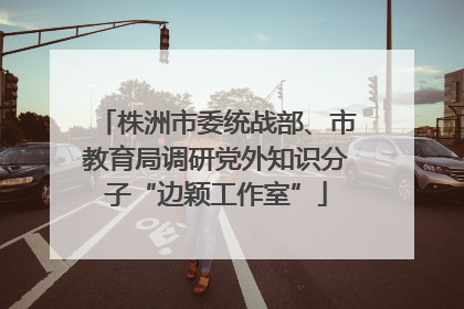 株洲市委统战部、市教育局调研党外知识分子“边颖工作室”