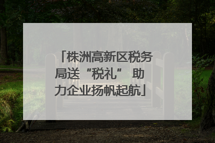 株洲高新区税务局送“税礼” 助力企业扬帆起航
