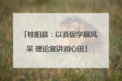 桂阳县：以赛促学展风采 理论宣讲润心田