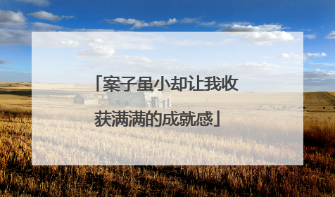 案子虽小却让我收获满满的成就感