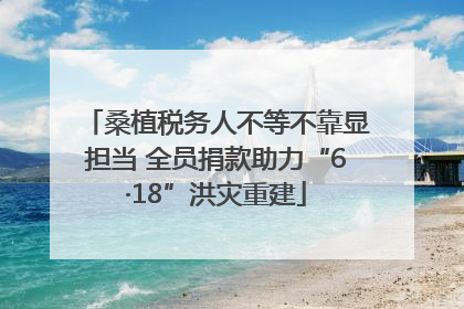 桑植税务人不等不靠显担当 全员捐款助力“6·18”洪灾重建