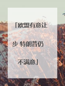 欧盟有意让步 特朗普仍不满意