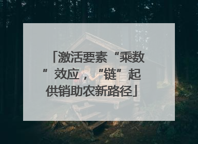 激活要素“乘数”效应，“链”起供销助农新路径