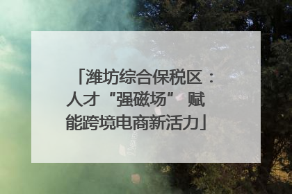 潍坊综合保税区：人才“强磁场” 赋能跨境电商新活力