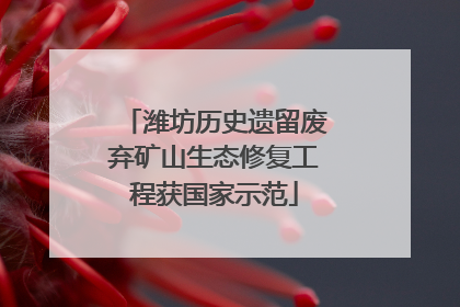 潍坊历史遗留废弃矿山生态修复工程获国家示范