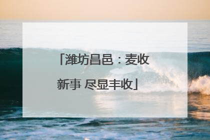 潍坊昌邑：麦收新事 尽显丰收