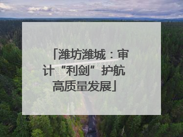 潍坊潍城：审计“利剑”护航高质量发展