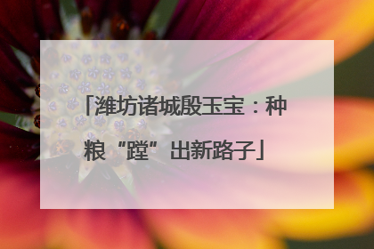 潍坊诸城殷玉宝：种粮“蹚”出新路子