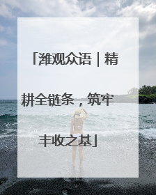 潍观众语｜精耕全链条，筑牢丰收之基