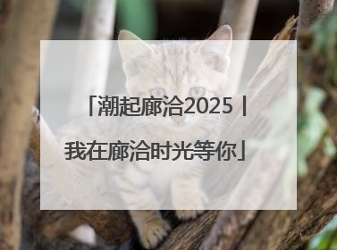 潮起廊洽2025丨我在廊洽时光等你