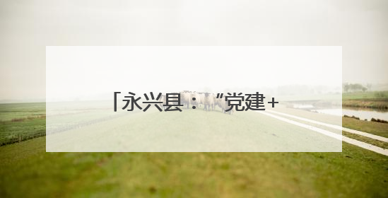 永兴县：“党建+五事工作法”推动基层治理现代化