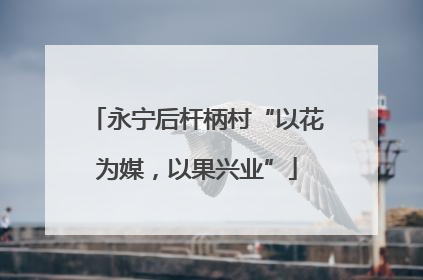 永宁后杆柄村“以花为媒，以果兴业”