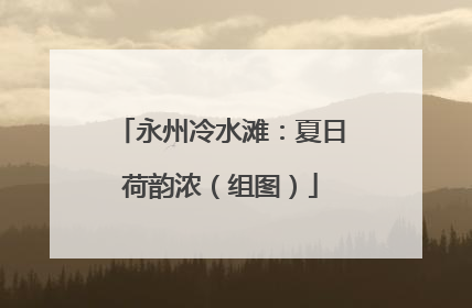 永州冷水滩：夏日荷韵浓（组图）