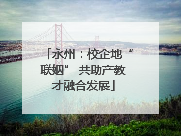 永州：校企地“联姻” 共助产教才融合发展