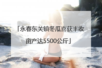 永春东关镇冬瓜喜获丰收 亩产达5500公斤