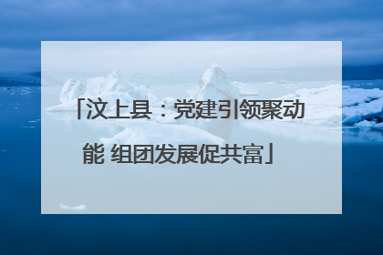 汶上县：党建引领聚动能 组团发展促共富