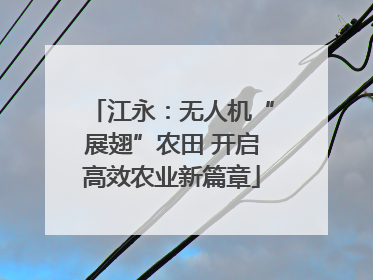 江永：无人机“展翅”农田 开启高效农业新篇章