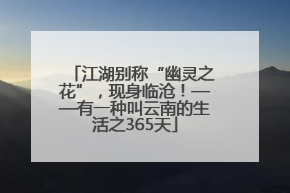 江湖别称“幽灵之花”，现身临沧！——有一种叫云南的生活之365天
