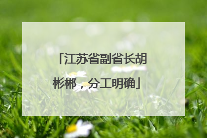 江苏省副省长胡彬郴，分工明确