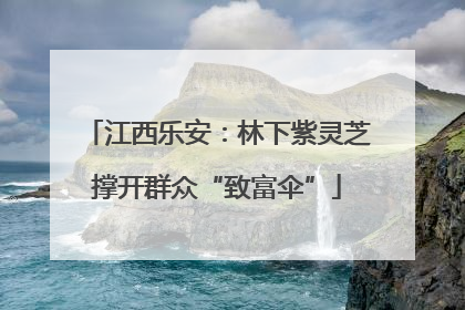 江西乐安：林下紫灵芝撑开群众“致富伞”