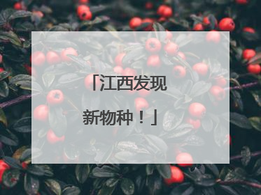 江西发现新物种！