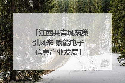 江西共青城筑巢引凤来 赋能电子信息产业发展