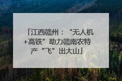 江西赣州：“无人机+高铁”助力赣南农特产“飞”出大山