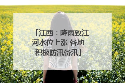 江西：降雨致江河水位上涨 各地积极防汛备汛