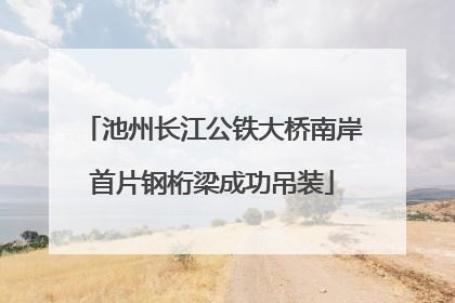 池州长江公铁大桥南岸首片钢桁梁成功吊装